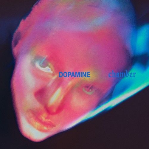 Dopamine Chamber by FONTAINES D.C.